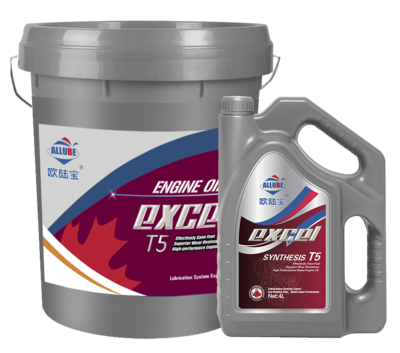 ALLUBE EXCEL T5